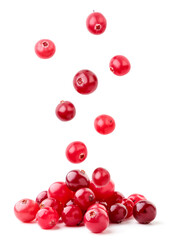 Cranberries fall on a pile on a white background, levitating cranberries. Isolated - 411520672