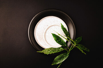 Flat lay view of two white plates with dots and one black plate. One green branch with inedible leaves of plant against dark background.