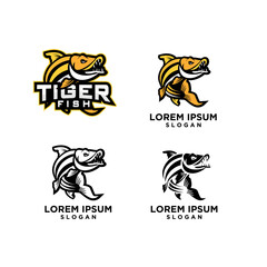set collection tiger fish logo icon design vector illustration