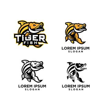 set collection tiger fish logo icon design vector illustration