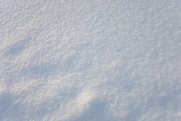 Background of fresh snow texture. Blue tone.