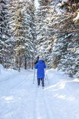 A girl in a blue jacket goes skiing in a snowy forest in winter.