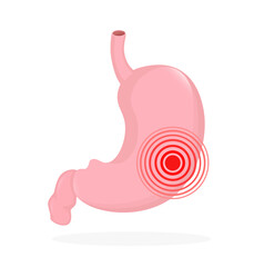 Stomach organ. Flat cartoon vector illustration. Health care concept. Isolated vector icon. Human organs isolated on white background.