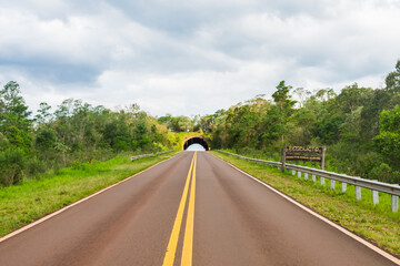 A view of the ecoduct (a wildlife crossing bridge) on National Route 101 in Argentina (Misiones Province)