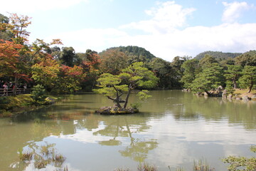 autumn trees in Japan