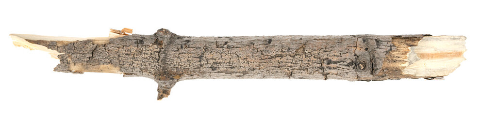 Dry tree twigs branches isolated on white background. pieces of broken wood plank on white background. close-up © Илья Подопригоров