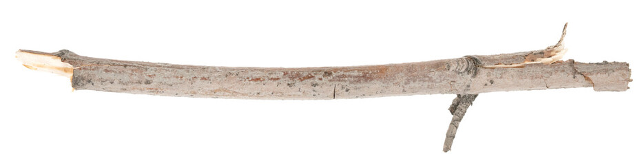 Dry tree twigs branches isolated on white background. pieces of broken wood plank on white background. close-up
