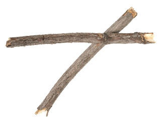 Dry tree twigs branches isolated on white background. pieces of broken wood plank on white background. close-up
