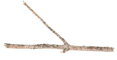 Dry tree twigs branches isolated on white background. pieces of broken wood plank on white background. close-up