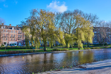 Fototapeta na wymiar Around the canals of Amsterdam, various parks with old trees overlook the canal. Holland
