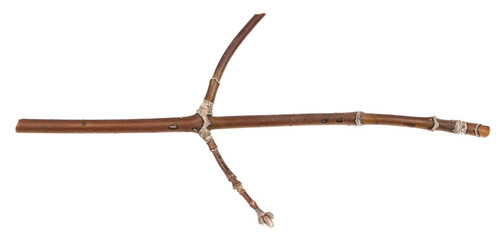 Obraz premium Dry tree twigs branches isolated on white background. pieces of broken wood plank on white background. close-up