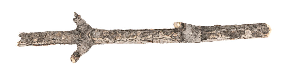 Dry tree twigs branches isolated on white background. pieces of broken wood plank on white background. close-up