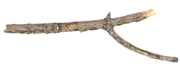 Dry tree twigs branches isolated on white background. pieces of broken wood plank on white background. close-up