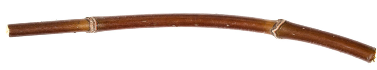 Dry tree twigs branches isolated on white background. pieces of broken wood plank on white background. close-up