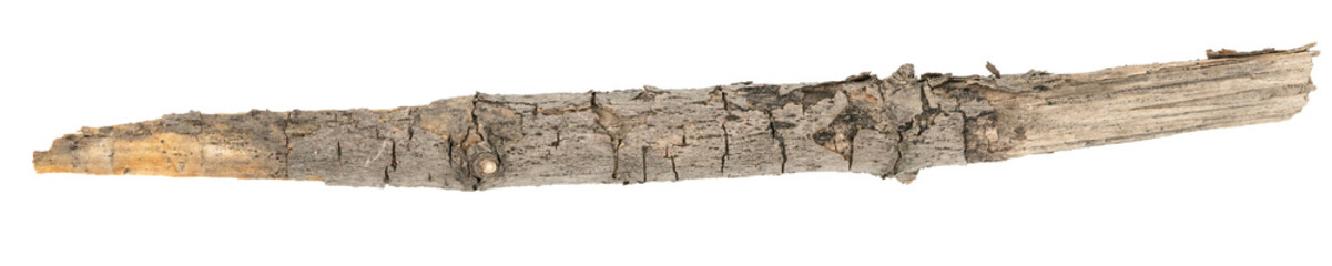 Dry tree twigs branches isolated on white background. pieces of broken wood plank on white background. close-up