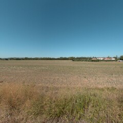 Fototapeta premium landscape with trees