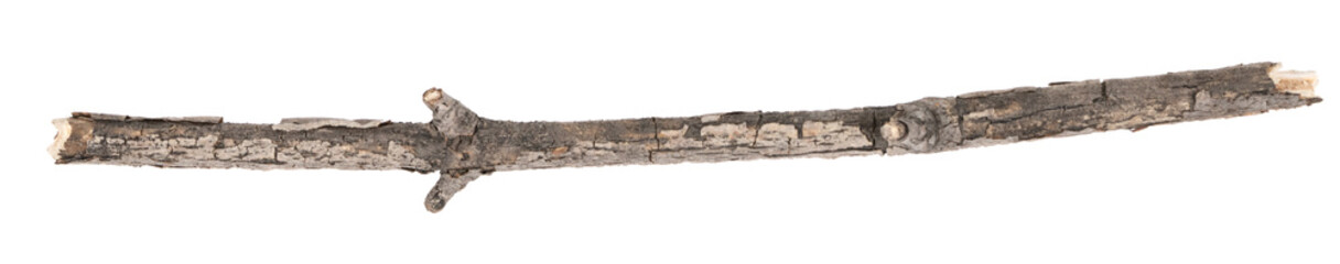 Dry tree twigs branches isolated on white background. pieces of broken wood plank on white background. close-up