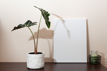 A real mocup with the blank canvas, alocasia polly and one candle on the shelf