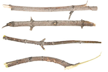 Obraz premium Сollage dry tree twigs branches isolated on white background. pieces of broken wood plank on white background. close-up