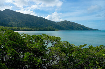 daintree rainforest at cape tribulation