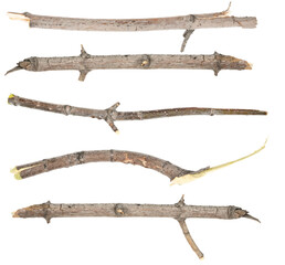Obraz premium Сollage dry tree twigs branches isolated on white background. pieces of broken wood plank on white background. close-up