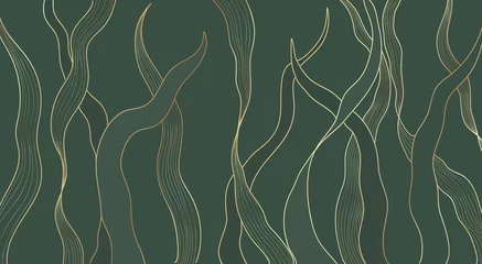 Poster Gold line luxury nature floral leaves background vector. Abstract golden split-leaf seaweed plant lined arts, Vector pattern illustration © lightgirl