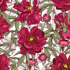 Burgundy flowers and peony buds