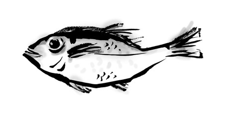 のどぐろの和風手描きイラスト