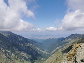 Naklejka premium nature's wonders