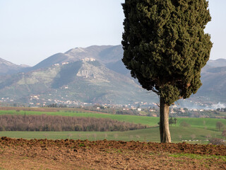 Colline coltivate del Lazio, provincia di Latina.