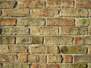 Smooth amber brick wall. Building stone texture with different shades.