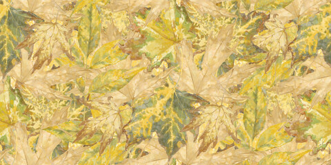 Seamless pattern with hand drawn autumn leaves. Endless sketch yellow fall illustration.  Aquarelle art design of golden leaf wallpaper