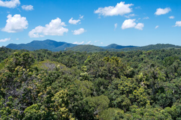 barron gorge rainforest and ridges