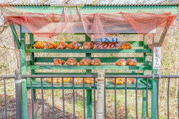静岡県沼津市　みかんの無人販売