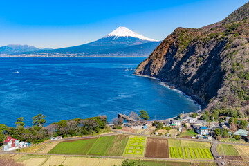 静岡県沼津市井田　煌めきの丘から見た富士山