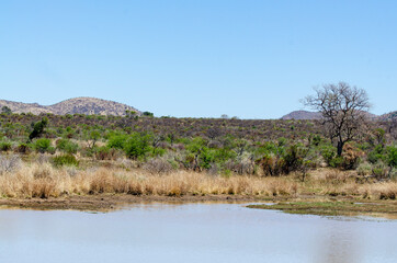 Parc national du Pilanesberg, Afrique du Sud