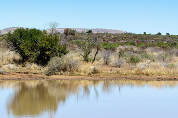 Parc national du Pilanesberg, Afrique du Sud