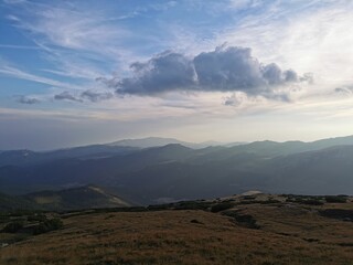 wild landscapes