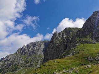 wild landscapes