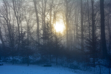 Sunrise behind  trees with fog in snowy winter