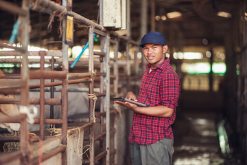 Smart farmer use technology tablet for livestock and husbandry control.