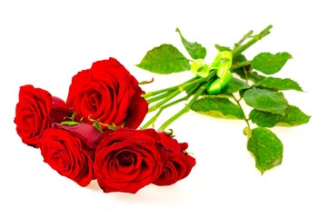 Dark red roses isolated on white background.