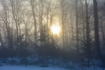 Foto auf Leinwand Sunrise behind tall trees with fog in winter © Claudia Evans 