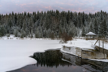 Winter landscape with a rural dam on the river, dense and high coniferous forest covered with snow and unfrozen polynya with soft edges on the ice of the river. Reflection of the forest 