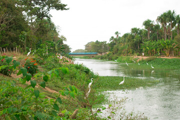 plano general de un rio en colombia