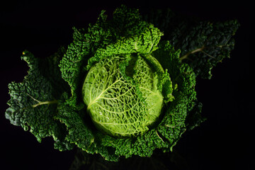 Close-up of an isolated green savoy cabbage, isolated against a dark background