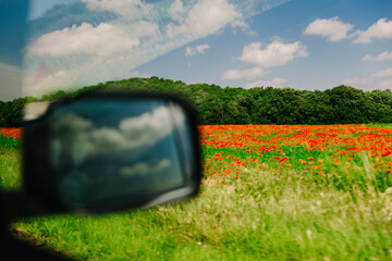 view at poppy flowers field from the car