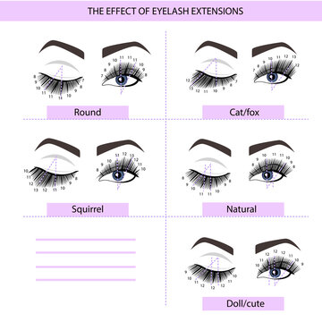 Eyelash Extension Guide. Direction schemes. Tips and tricks for eyelash extension. Infographic vector illustration.