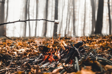Marshmallow on skewers is fried at the stake. Toasted marshmallows open flame on skewer