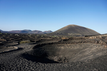 Typical volcanic vineyards in Lanzarote, Canary Islands.